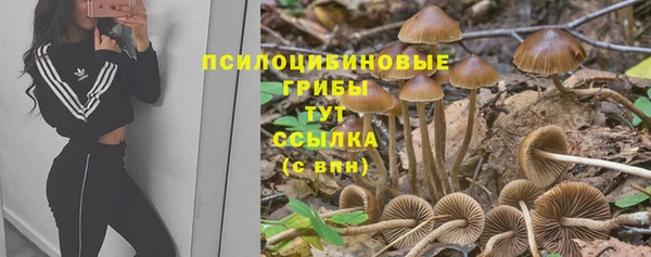 СК Горно-Алтайск