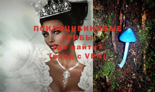 стаф Горнозаводск
